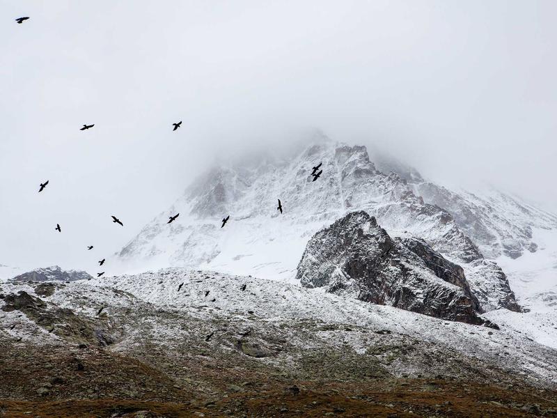 sudoku solving methods screenshot 4